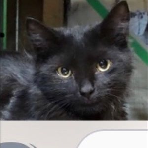 Meet your Posher, Jolene